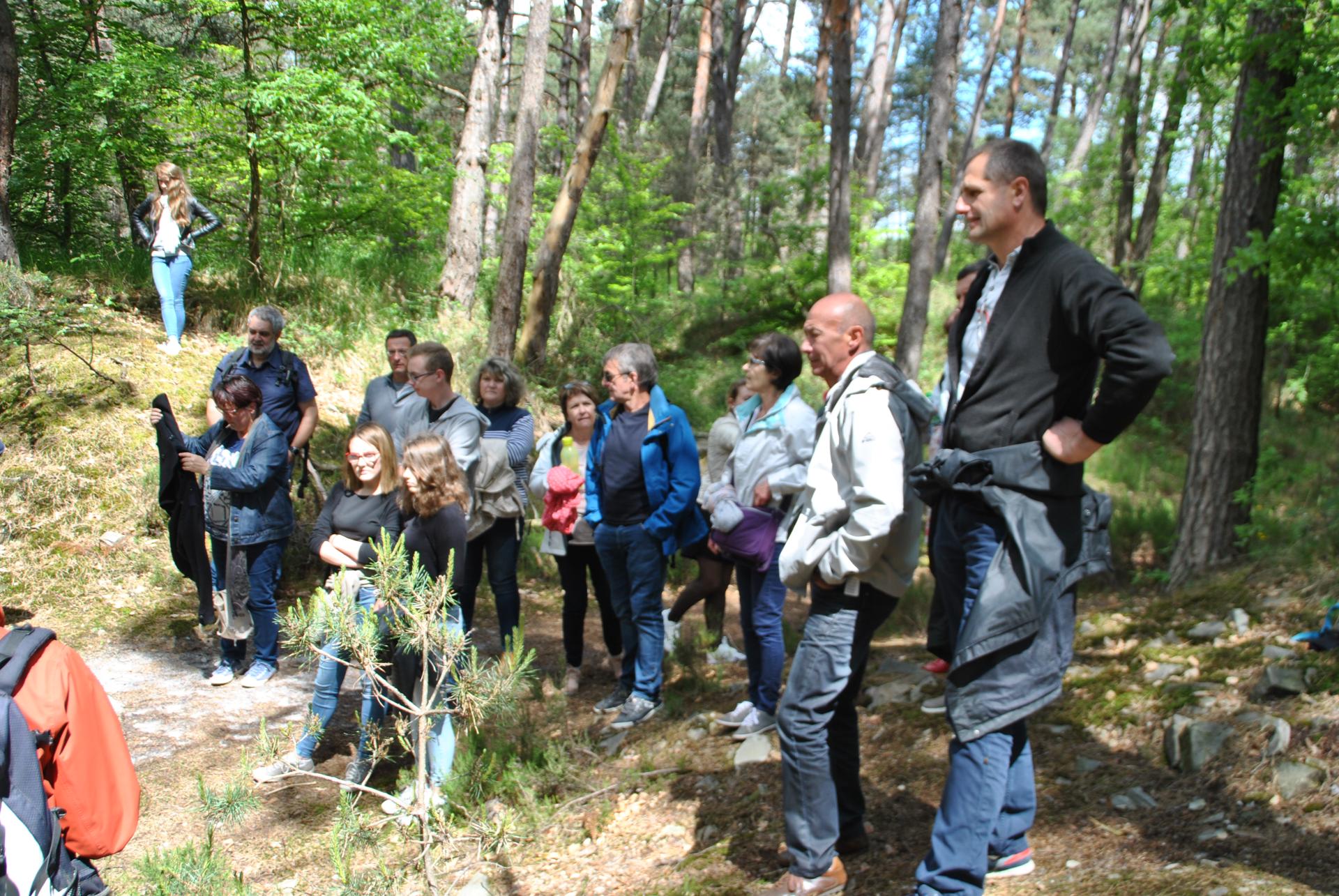 Forêt de Fontainebleau