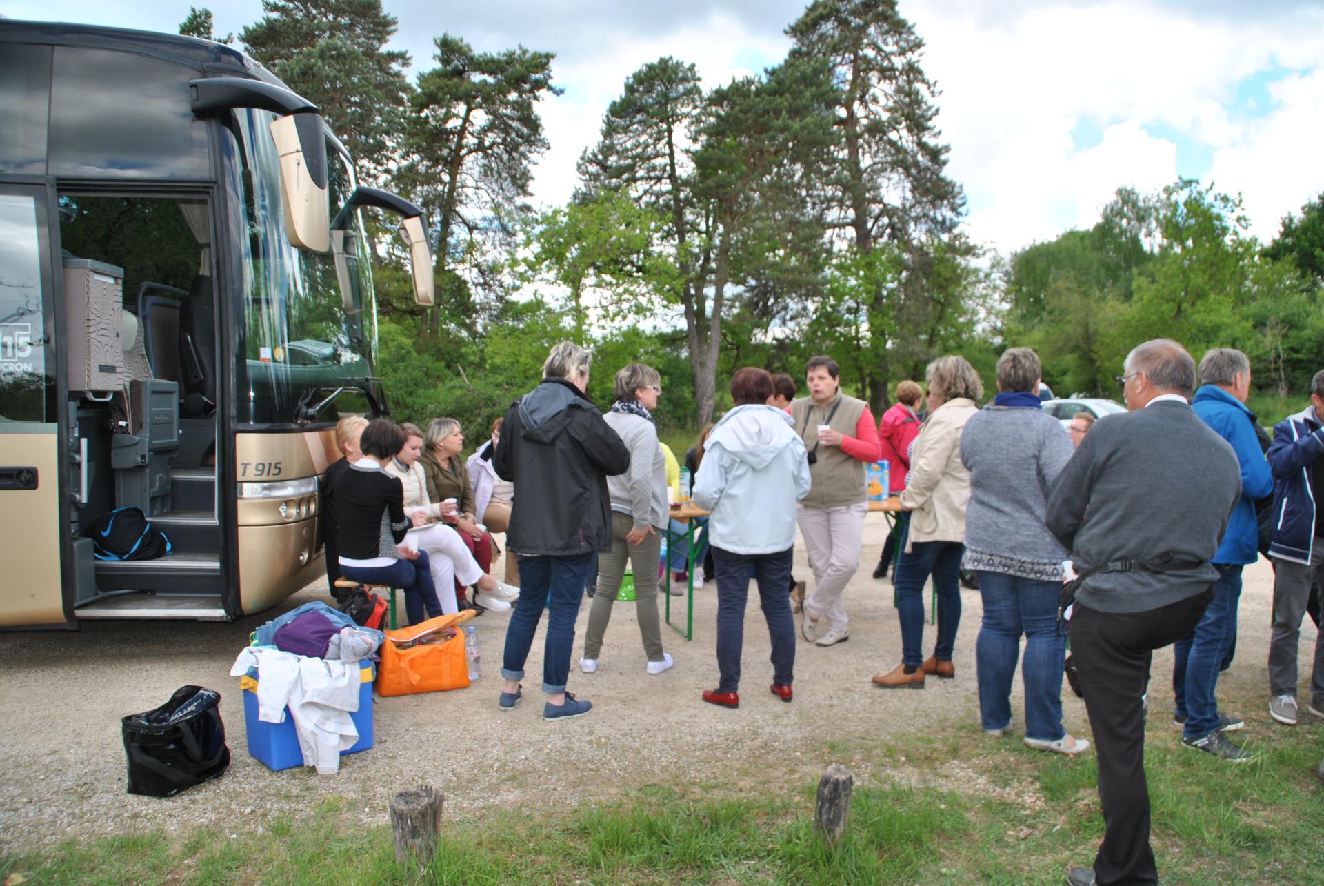 Forêt de Fontainebleau