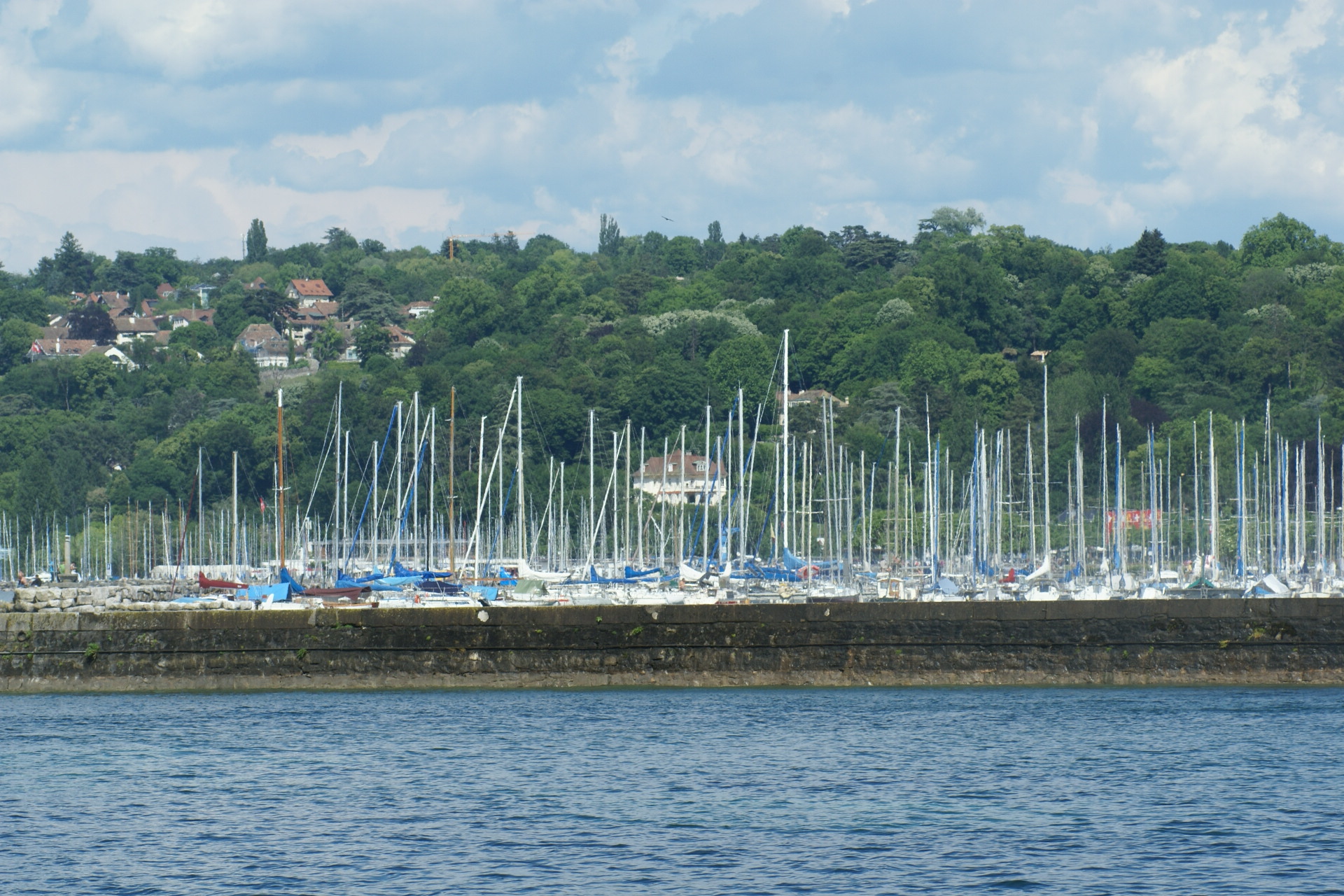 Balade sur le lac léman