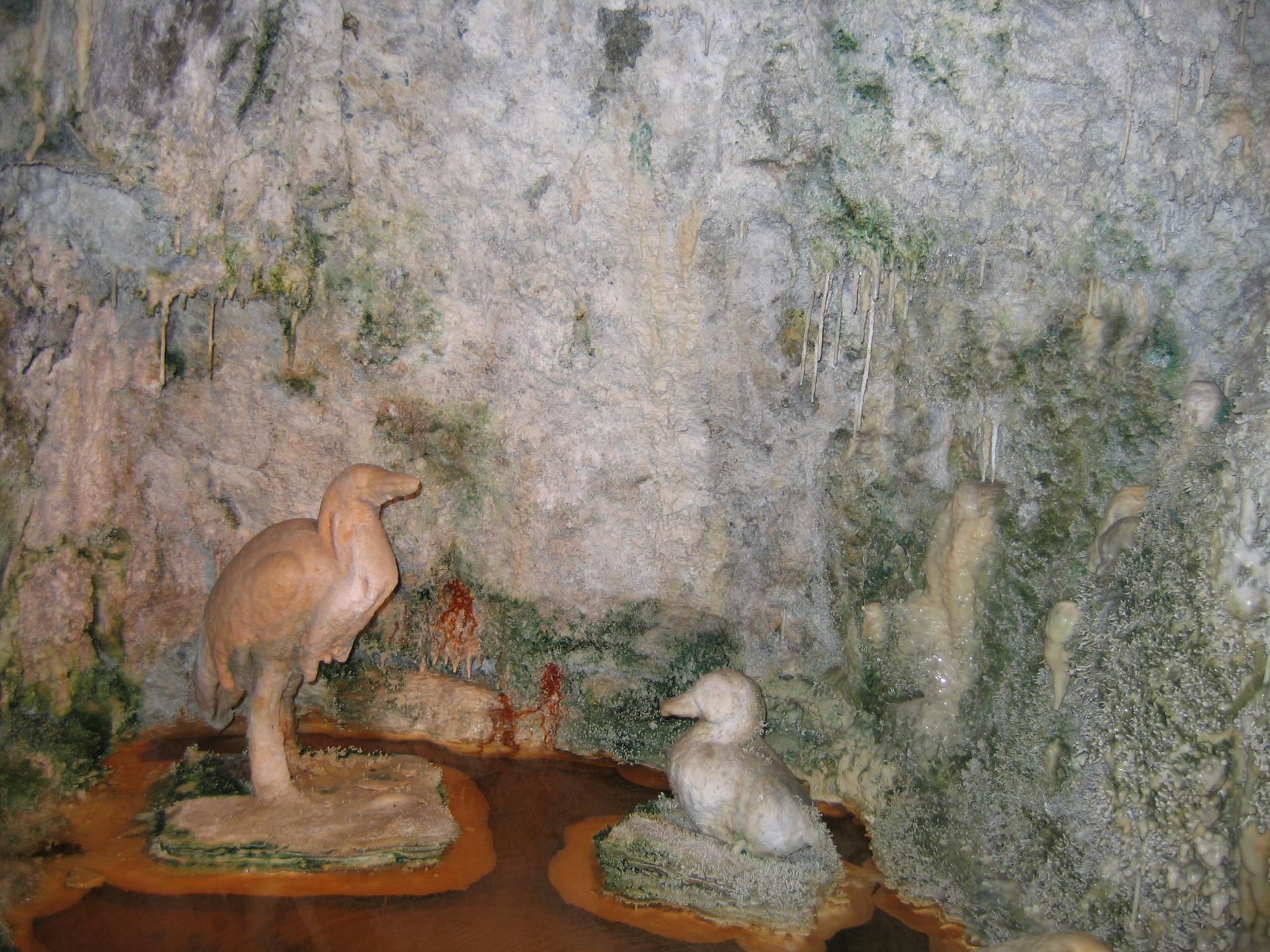 Fontaine pétrifiante