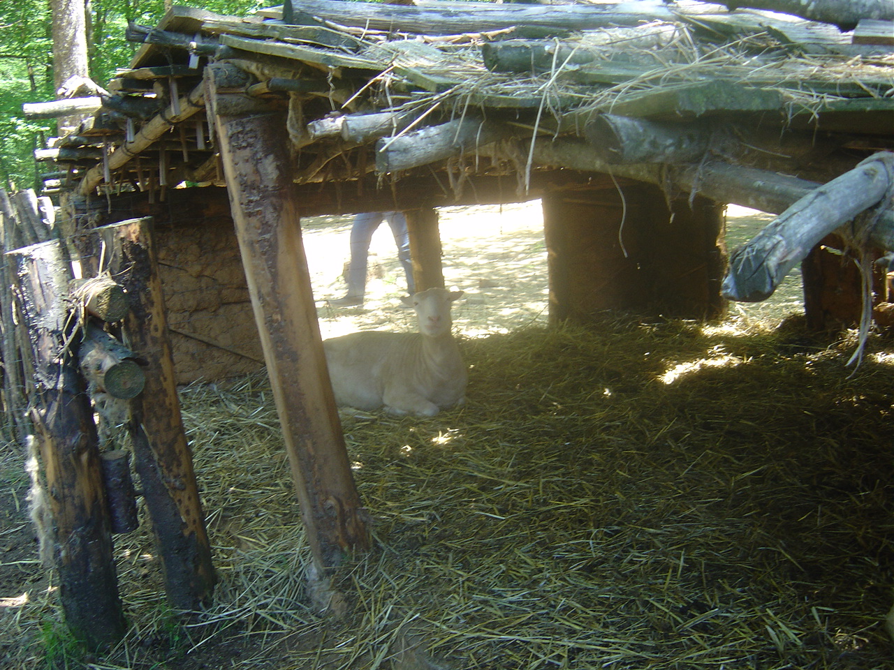 Château médiéval de Guédelon