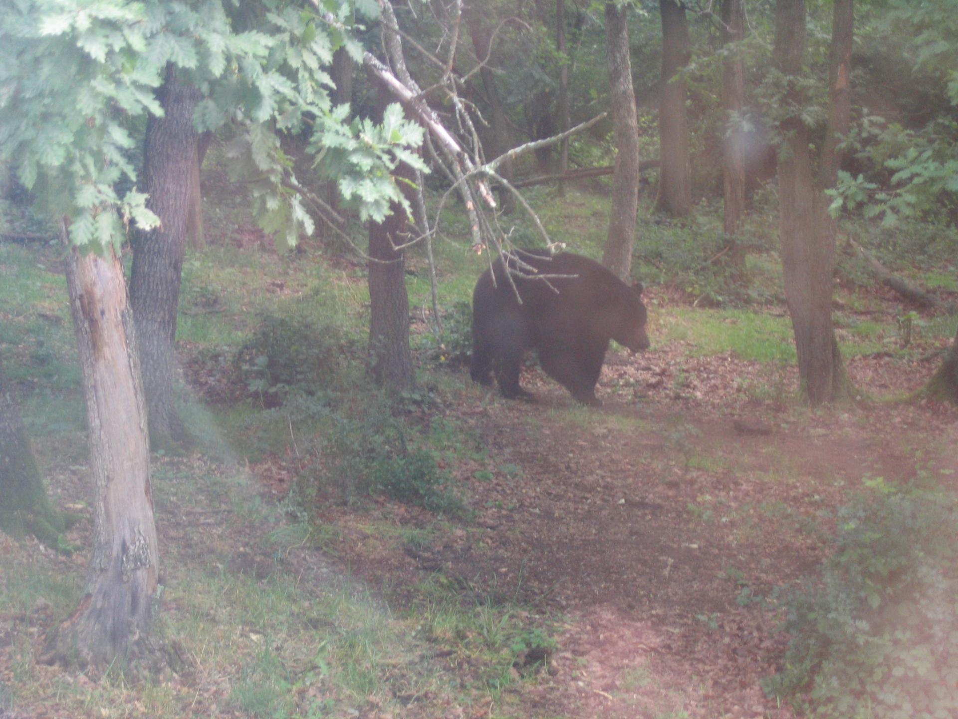 Zoo safari de Paugres