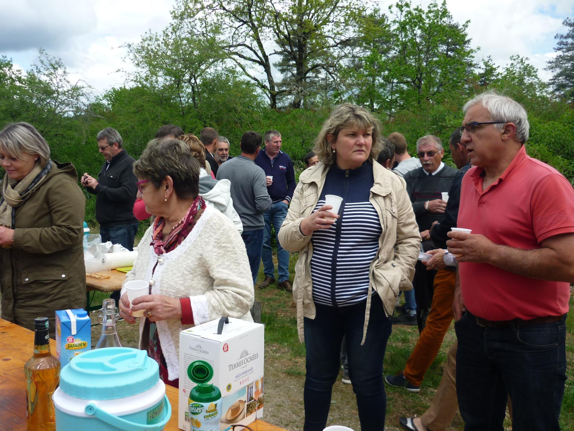 Forêt de Fontainebleau 