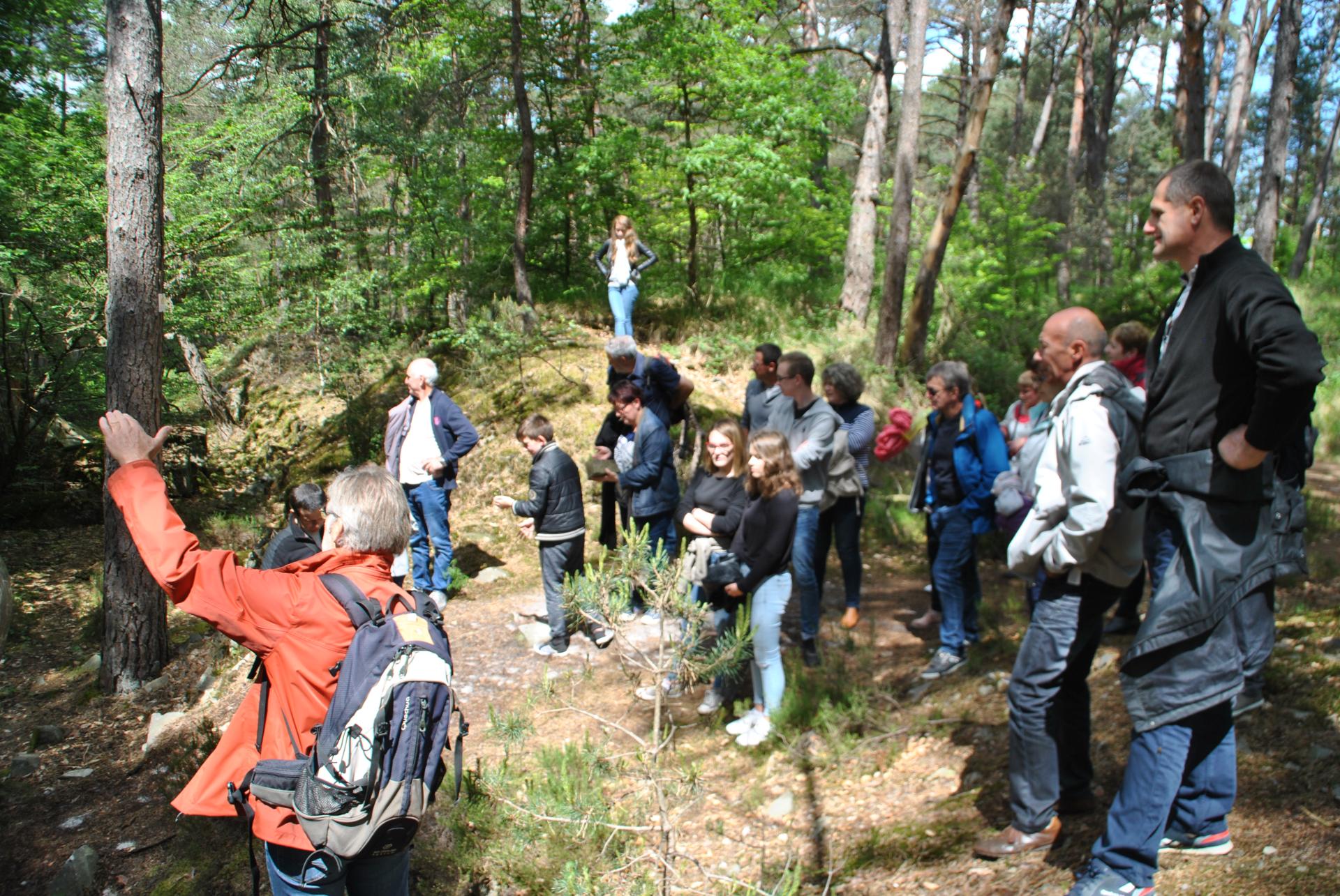 Forêt de Fontainebleau