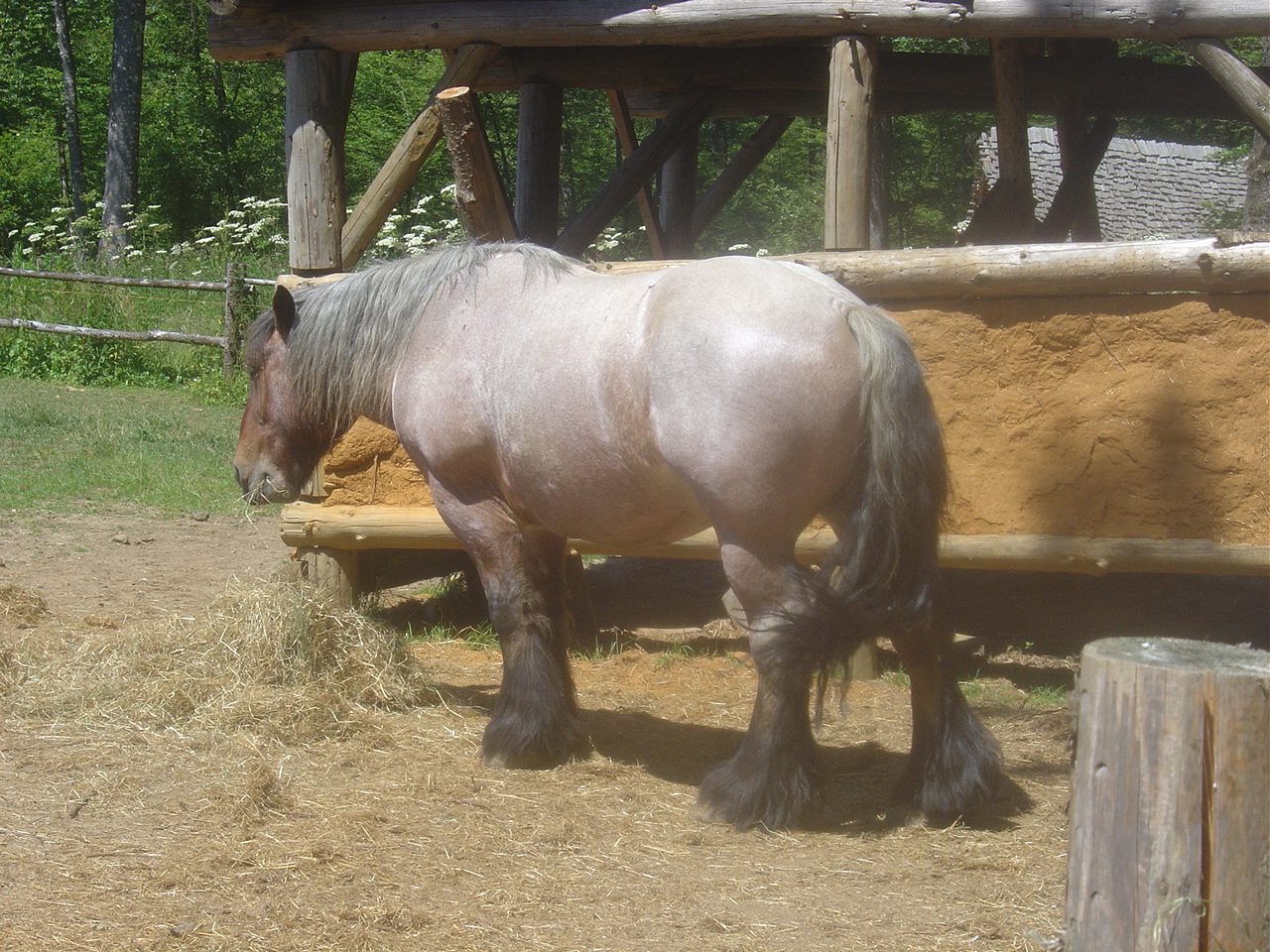 Château médiéval de Guédelon
