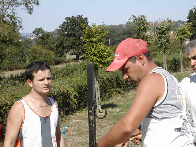 Préparatifs cuisson des jambons