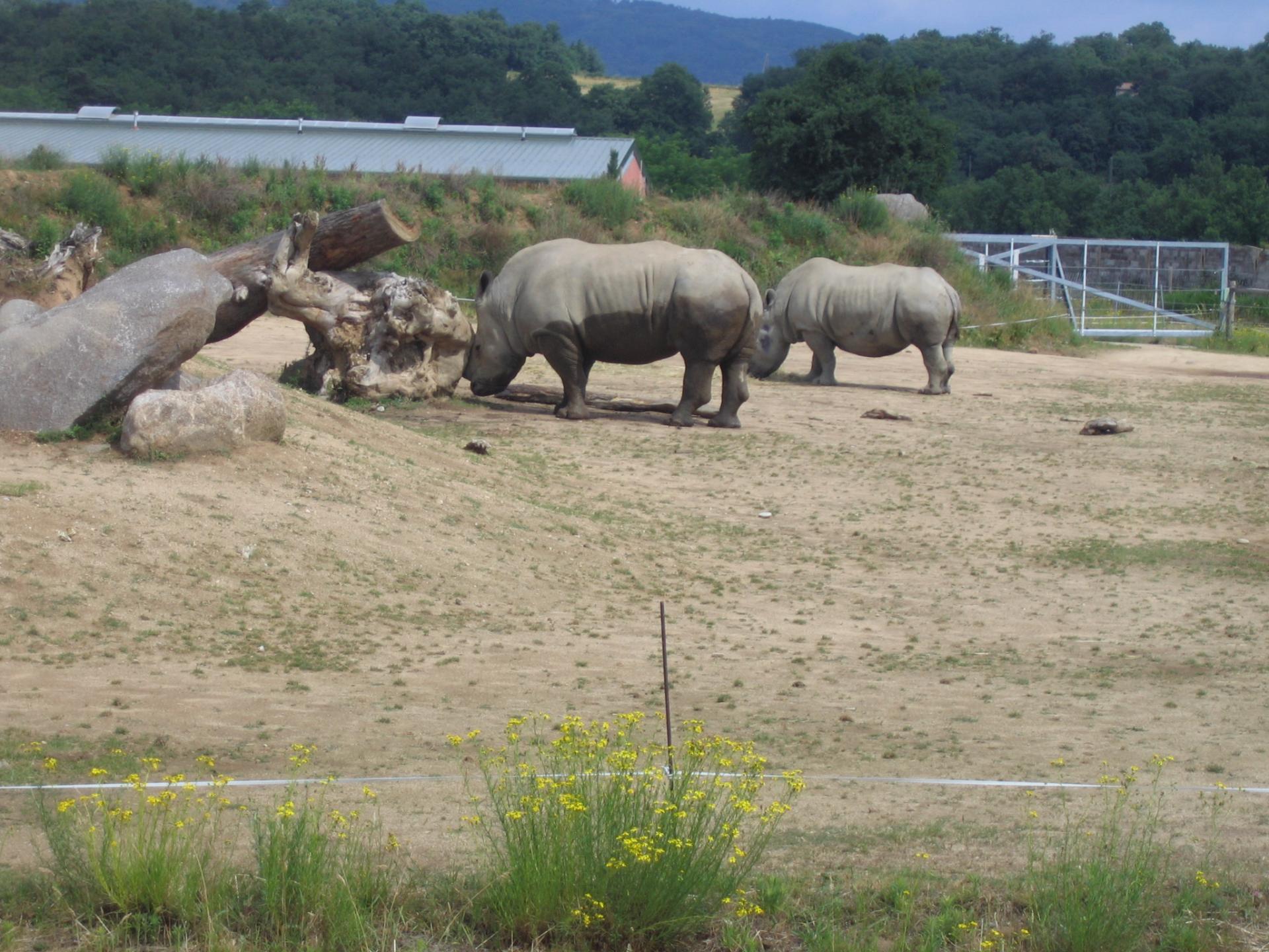 Zoo safari de Paugres