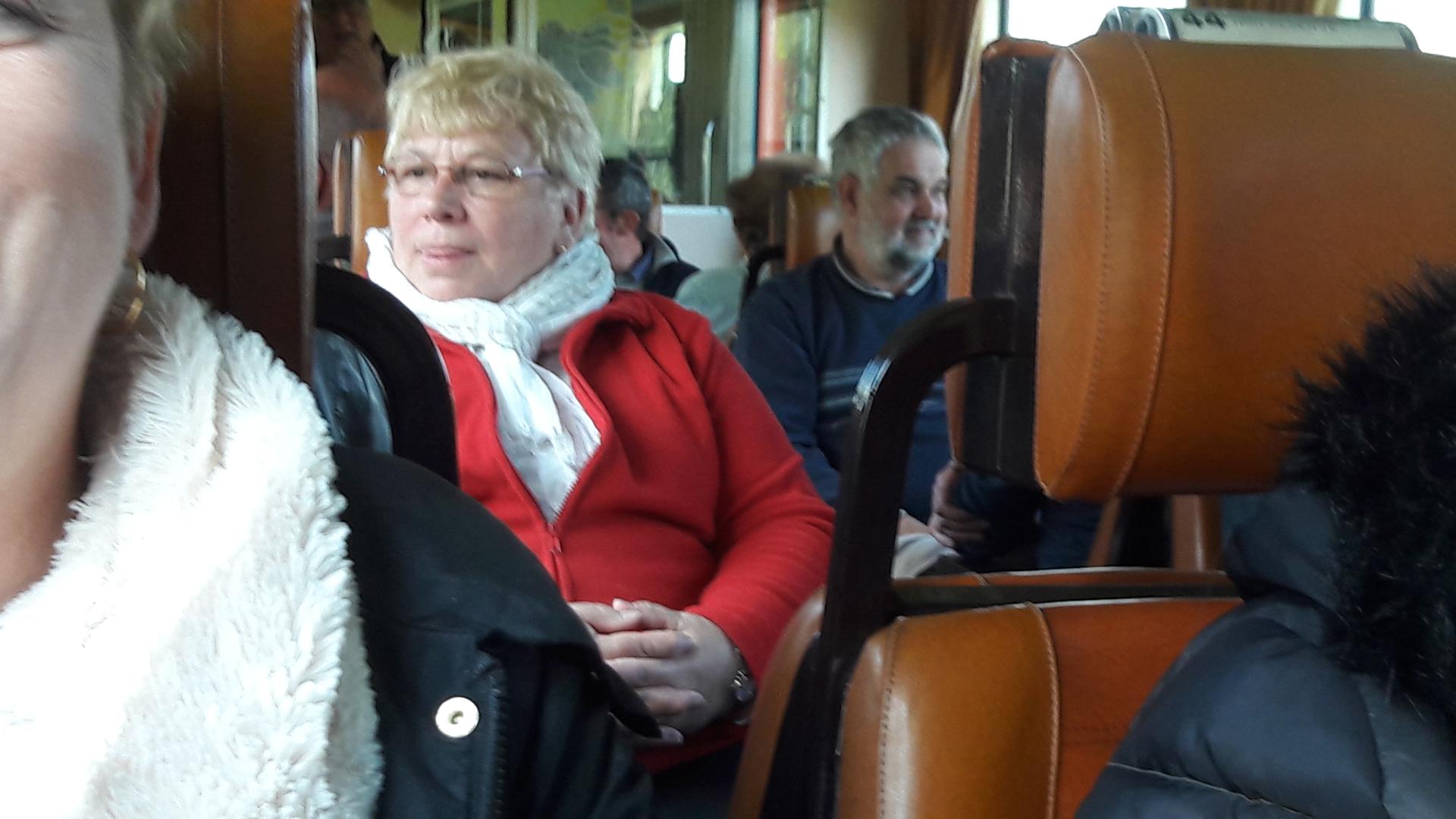 Train chemin de fer du haut Forez