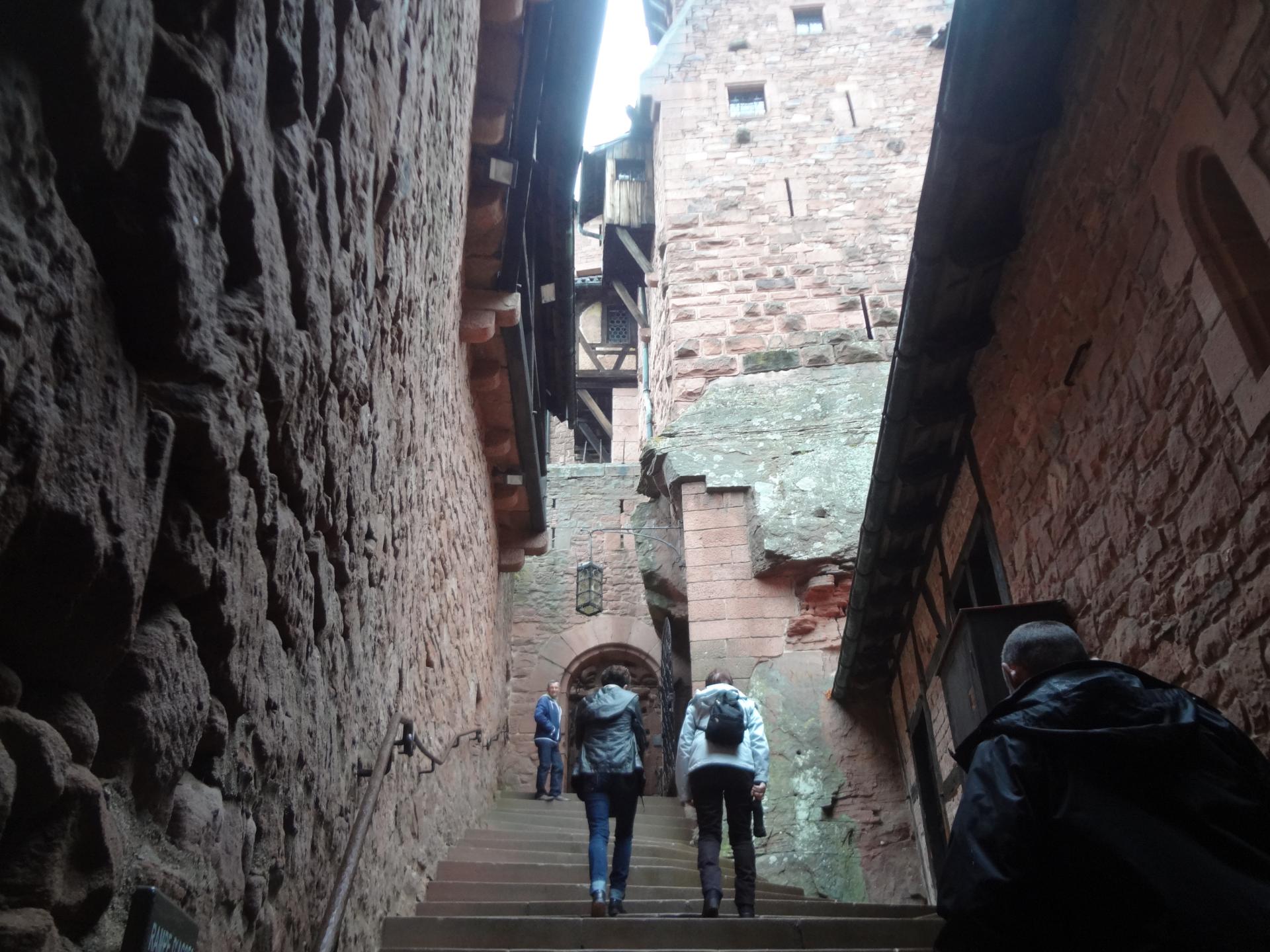Château du Haut-Koenigsbourg