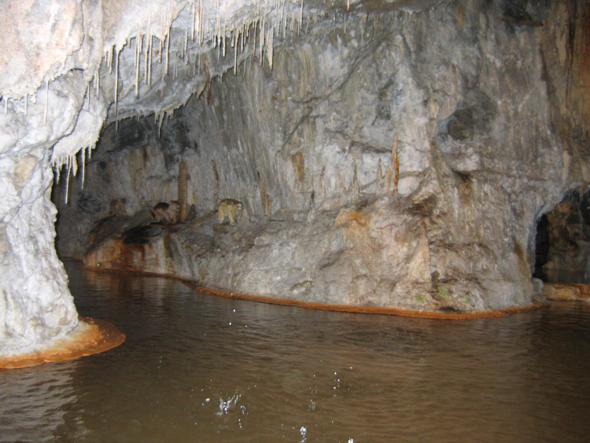 Fontaine pétrifiante