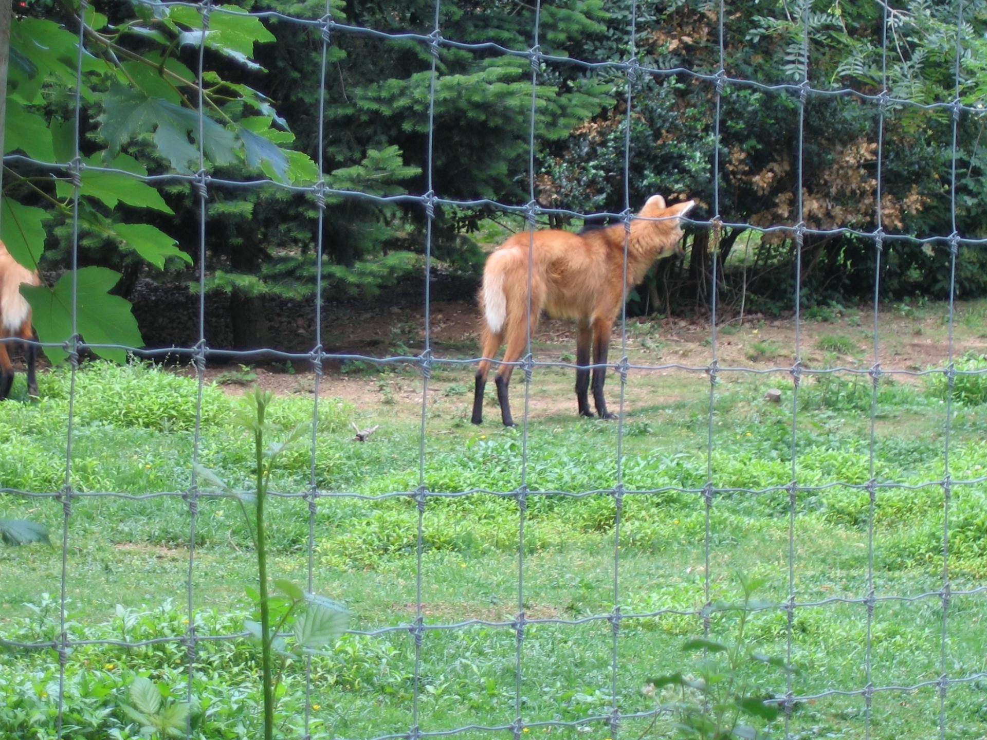 Zoo safari de Paugres