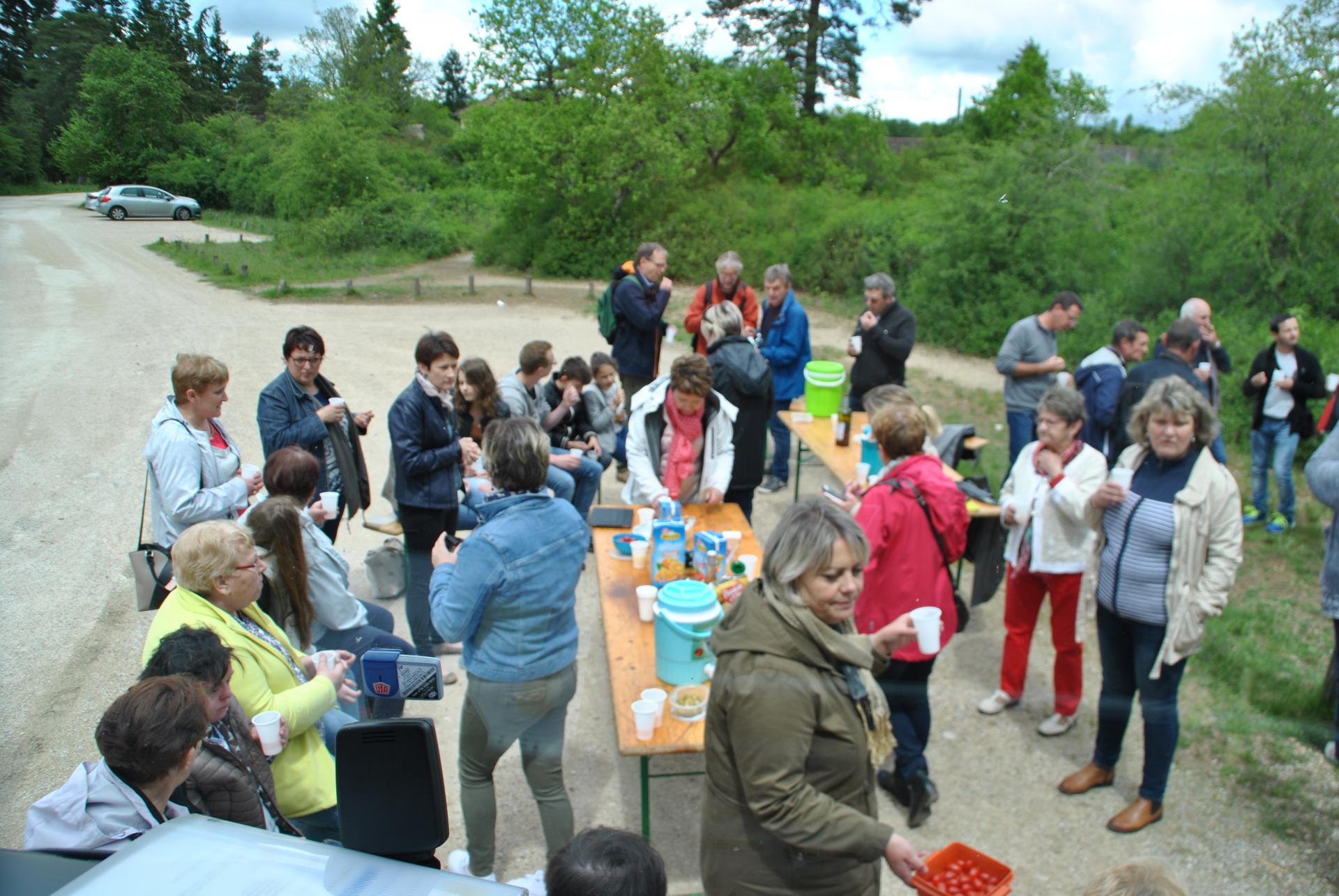 Forêt de Fontainebleau