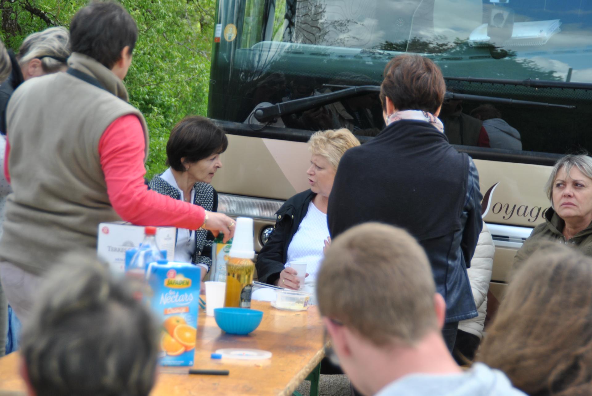 Forêt de Fontainebleau